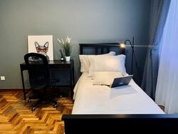 Royale Mansions (D15), Apartment #536980781